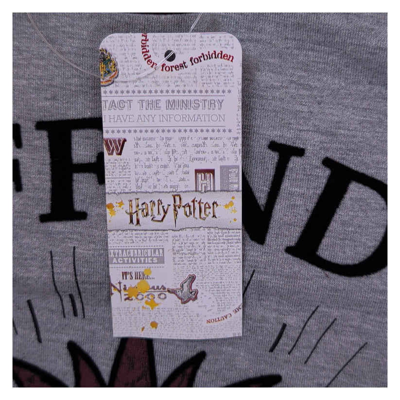 Harry Potter Gryffindor Bravery Men's Raglan T-Shirt L Grey Burgundy Lion