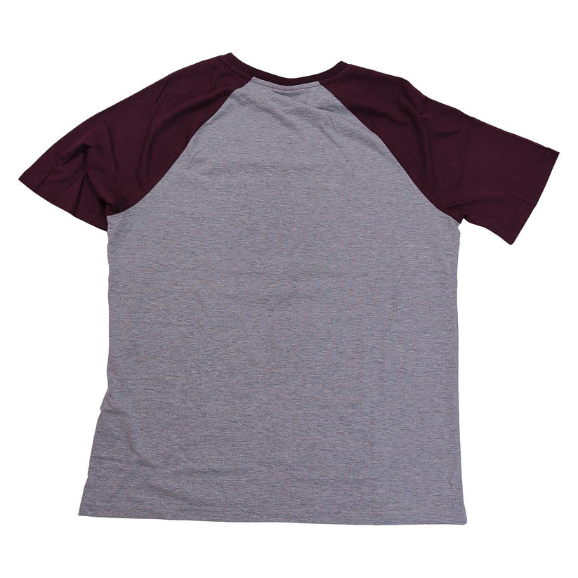 Harry Potter Gryffindor Bravery Men's Raglan T-Shirt L Grey Burgundy Lion