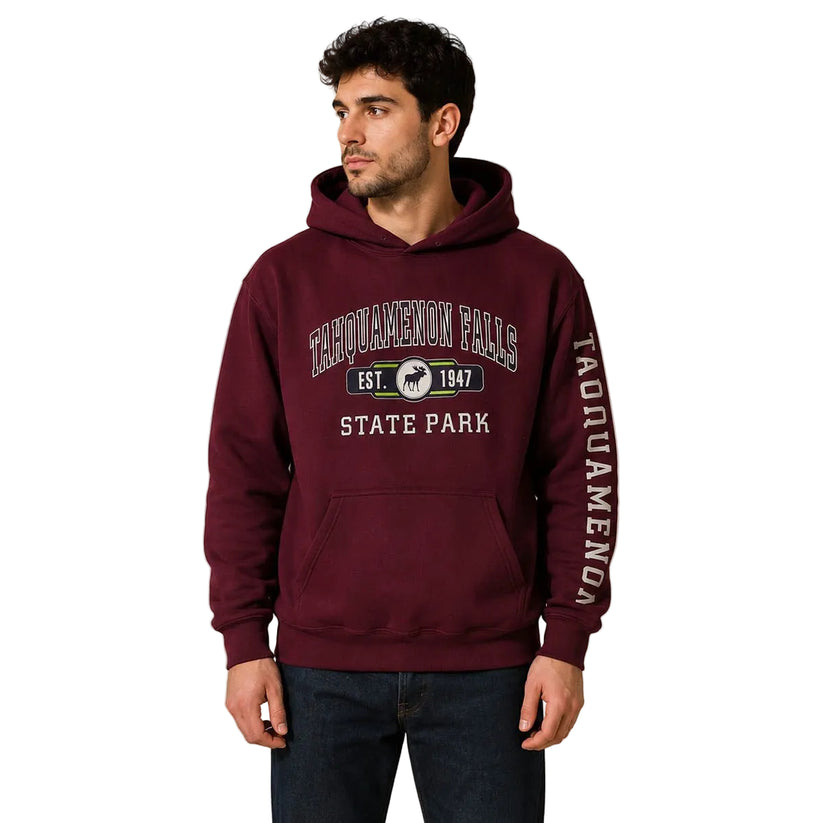 Tahquamenon Falls State Park Gildan Hoodie XL Burgundy – Sweater & Hoodie product photo 1 | RewearableUK