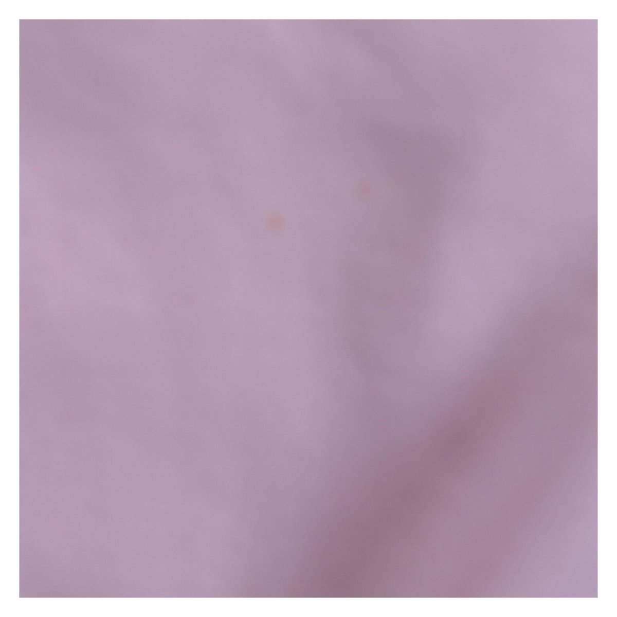 adidas Women's Hoodie S Pink Trefoil Logo 100% Cotton Blend – product photo 9 | RewearableUK