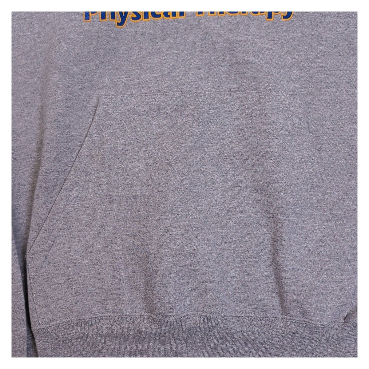 Champion Unisex Adults Hoodie Regular M Grey MSJ Physical Therapy Graphic Print – product photo 5 | RewearableUK