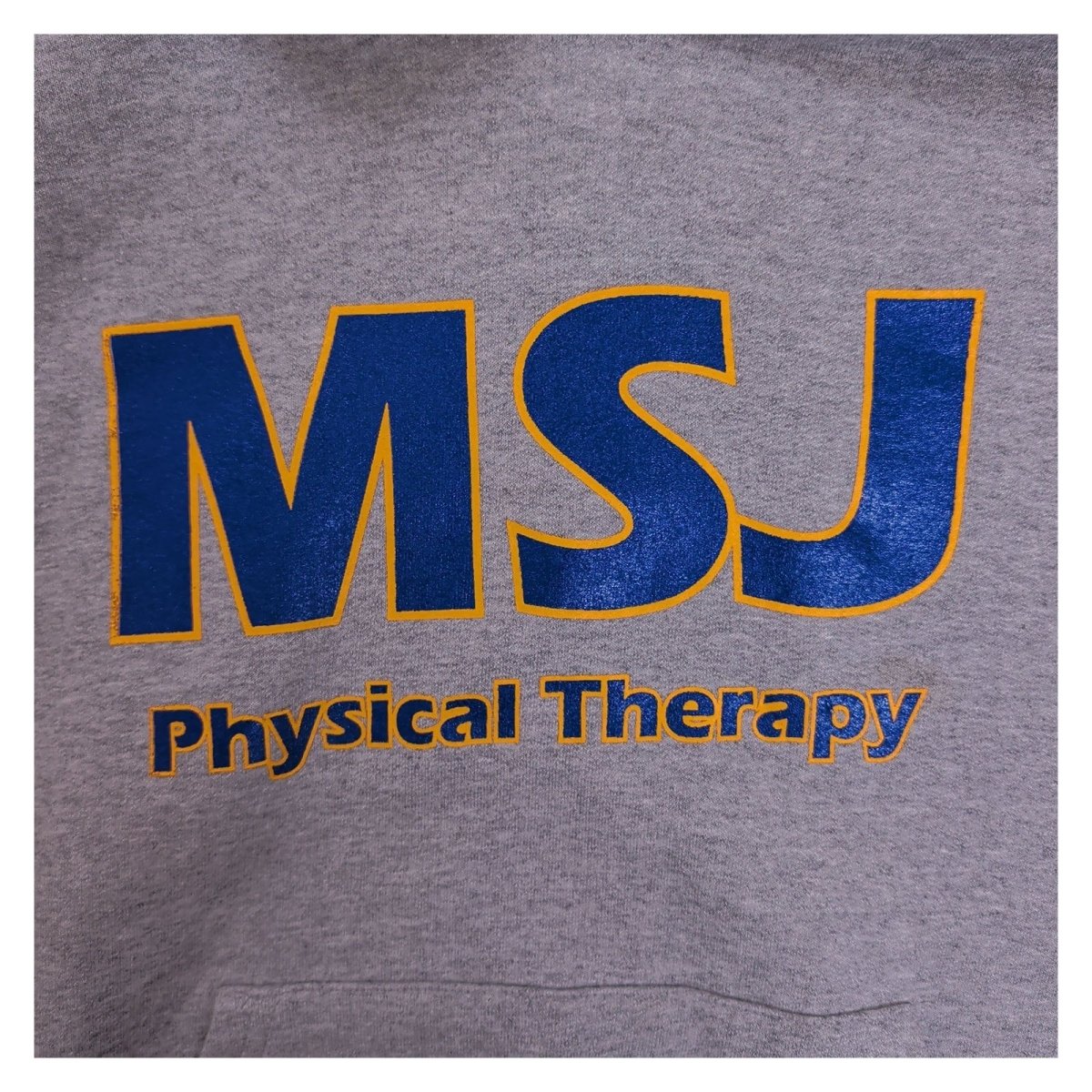 Champion Unisex Adults Hoodie Regular M Grey MSJ Physical Therapy Graphic Print – product photo 3 | RewearableUK