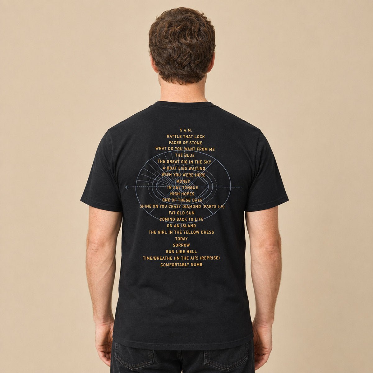 David Gilmour Live at Pompeii 2016 T-Shirt 2XL Black – product photo 2 | RewearableUK