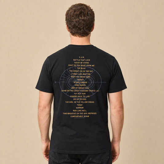 David Gilmour Live at Pompeii 2016 T-Shirt 2XL Black – product photo 2 | RewearableUK