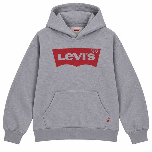Levi's Boys' Grey Logo Hoodie 12-13 Years L - product photo 1