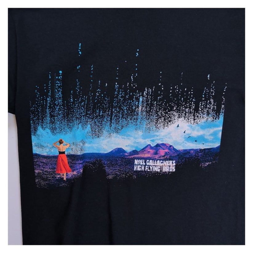 Noel Gallagher's High Flying Birds 2018 Stranded on Earth Tour Black T-Shirt M – product photo 4 | RewearableUK