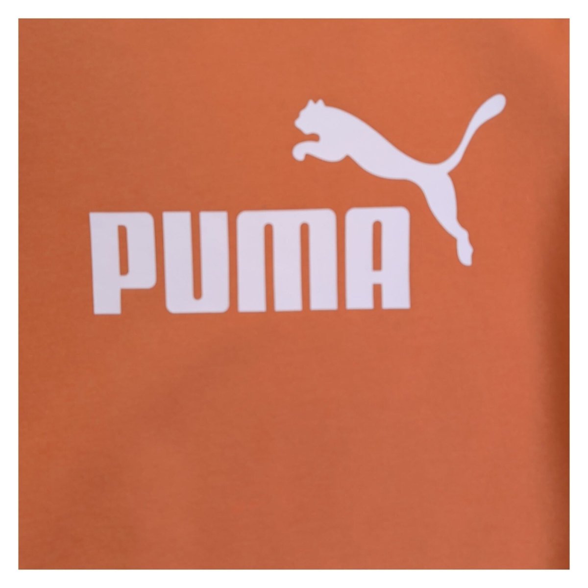 Puma Unisex Adults Sweatshirt Regular XL Orange Graphic Print – product photo 3 | RewearableUK