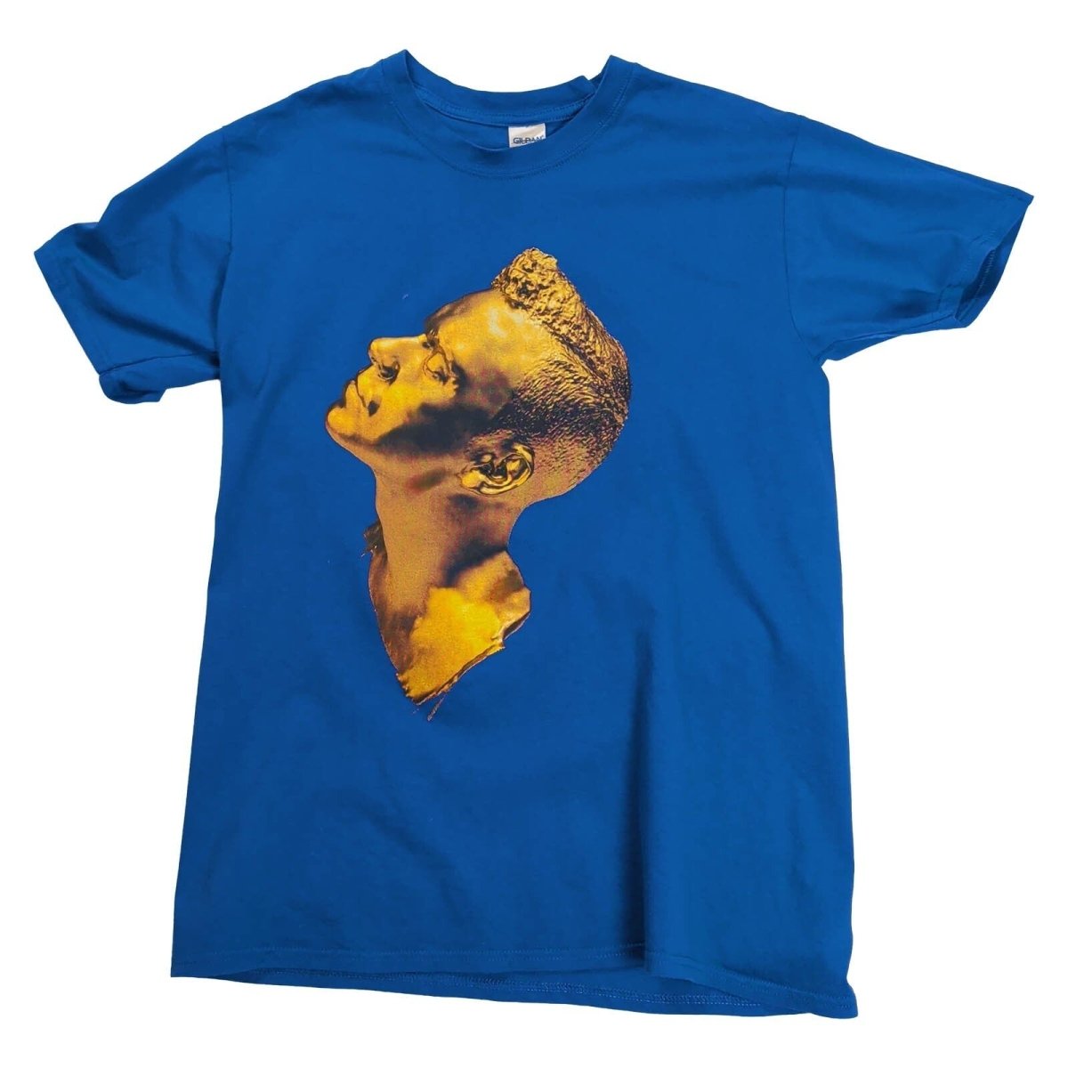 Robbie Williams Take The Crown 2013 Tour T-Shirt M Blue Gildan Double Sided – product photo 1 | RewearableUK
