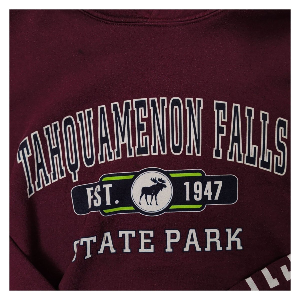 Tahquamenon Falls State Park Gildan Hoodie XL Burgundy – Sweater & Hoodie product photo 3 | RewearableUK
