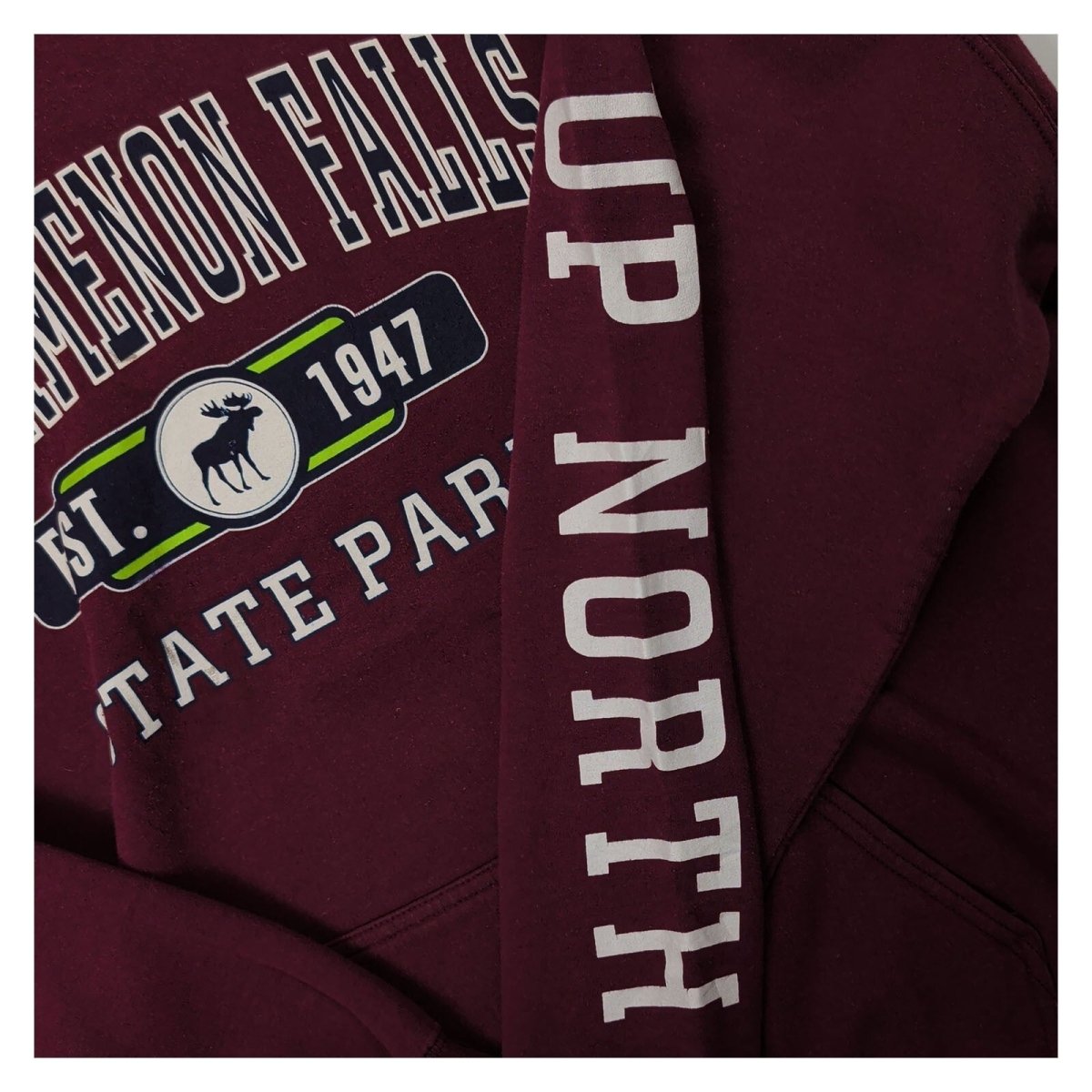 Tahquamenon Falls State Park Gildan Hoodie XL Burgundy – Sweater & Hoodie product photo 4 | RewearableUK