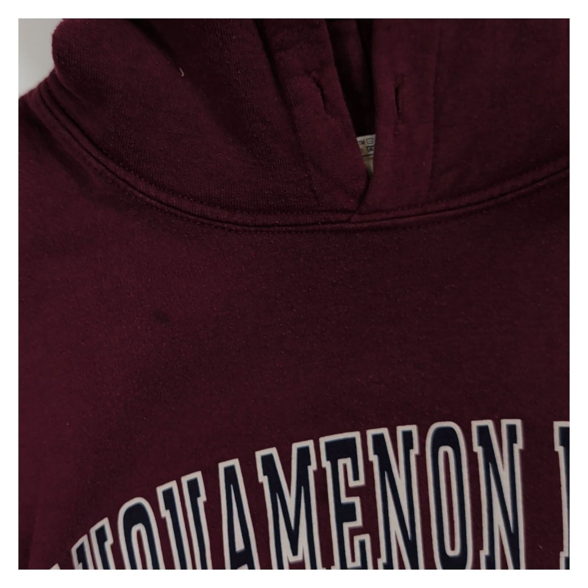 Tahquamenon Falls State Park Gildan Hoodie XL Burgundy – Sweater & Hoodie product photo 7 | RewearableUK