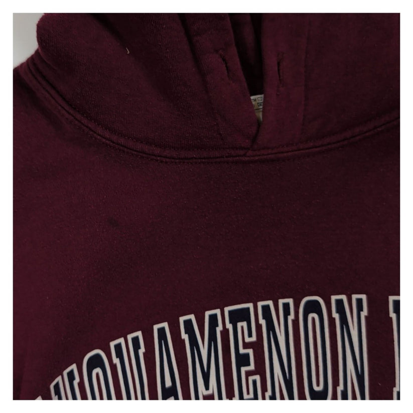 Tahquamenon Falls State Park Gildan Hoodie XL Burgundy – Sweater & Hoodie product photo 7 | RewearableUK